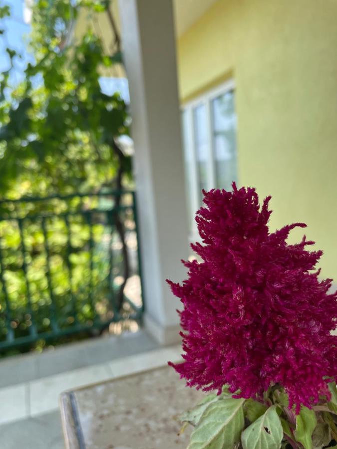 Apartments Mornar Poljica  ภายนอก รูปภาพ